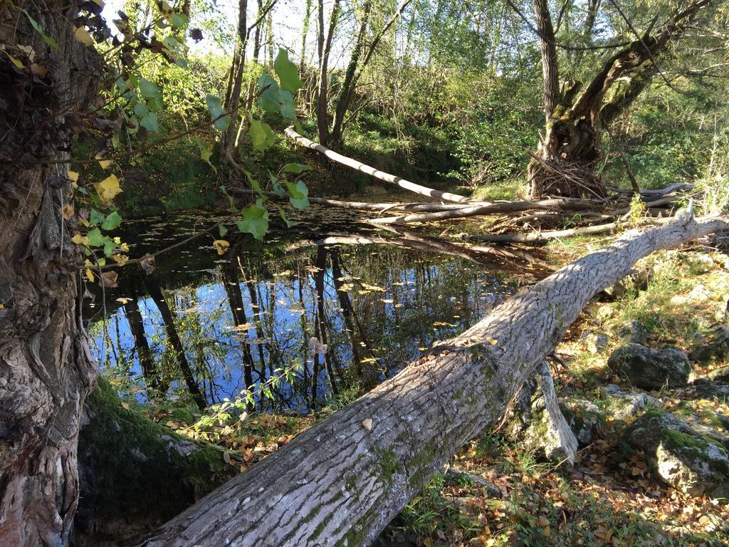 Moulin De Bapaumes Bed & Breakfast Nerac Bagian luar foto